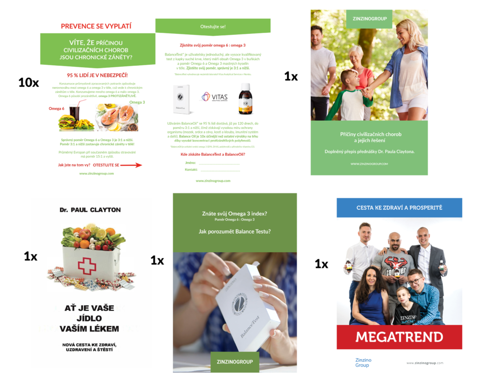 Byznys Start (1x brožura "Příčiny civilizačních chorob a jejich řešení", 1x brožura "Jak porozumět Balance Testu?", 1x brožura "Cesta ke zdraví a prosperitě - MEGATREND", 1x kniha "Ať je vaše jídlo vaším lékem", 10x letáček Balance Konceptu + kontakt)